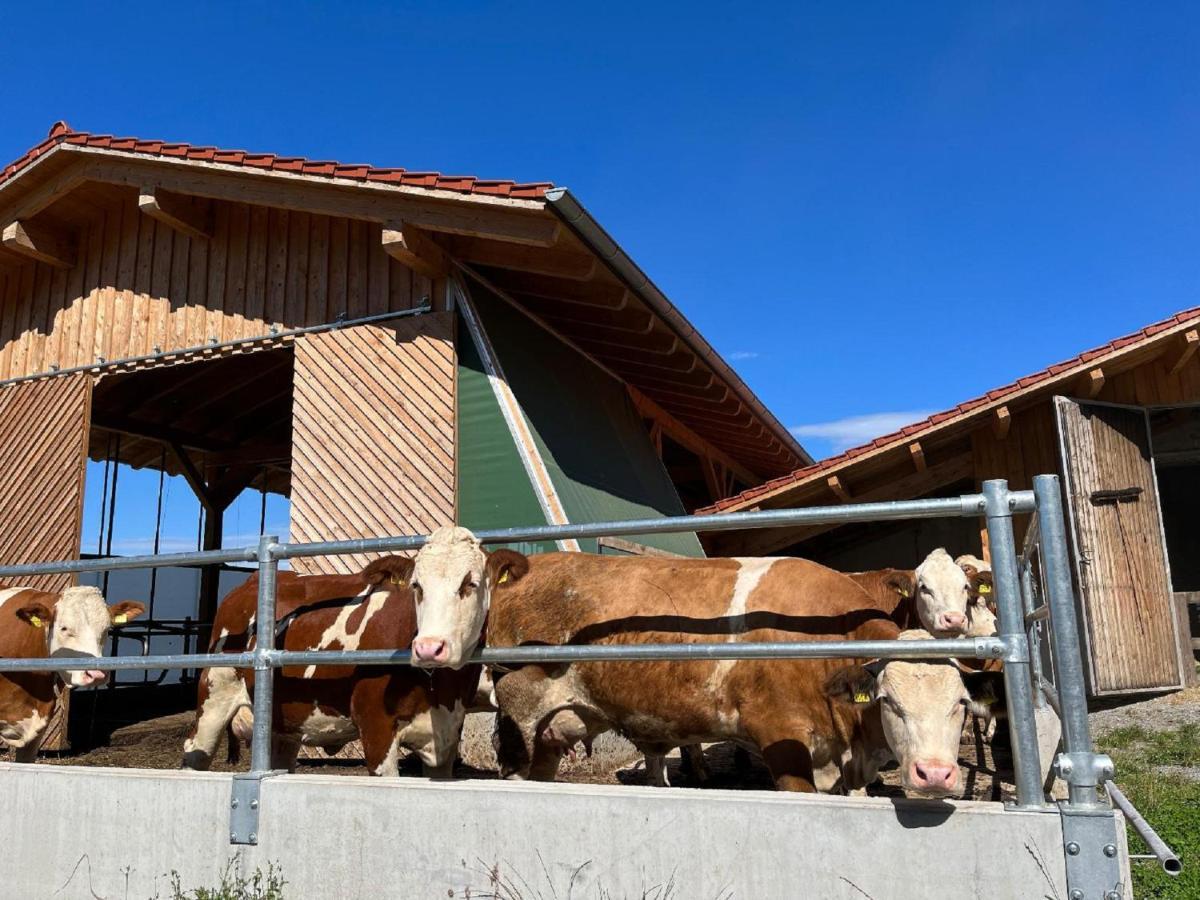 Landgasthof Blasini - Pfahlhof Zandt Екстериор снимка