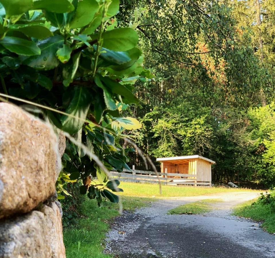 Landgasthof Blasini - Pfahlhof Zandt Екстериор снимка