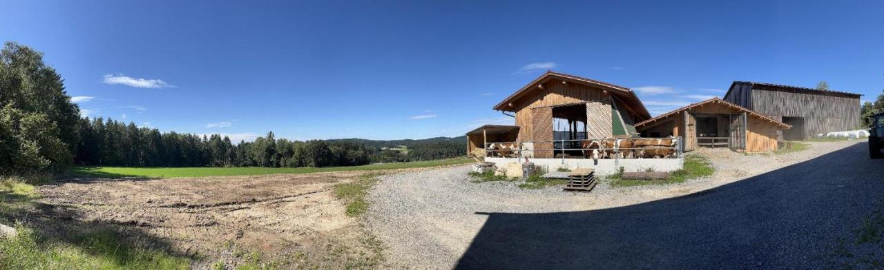 Landgasthof Blasini - Pfahlhof Zandt Екстериор снимка